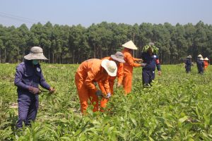 Ngăn ma túy xâm nhập giới trẻ