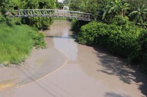 Thông tin chất lượng nguồn nước sông Buông