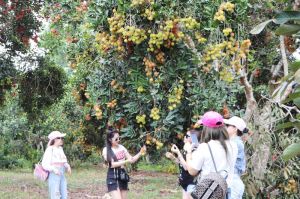 Đồng Nai có lợi thế phát triển du lịch canh nông