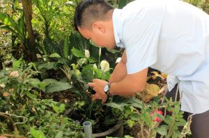 Đề phòng bệnh sốt xuất huyết khi mùa mưa đến