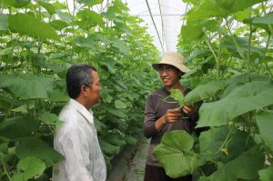 Huy động nguồn xã hội hóa xây dựng nông thôn mới
