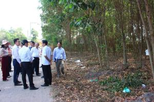 Adding 10 projects to convert rice and forest land.