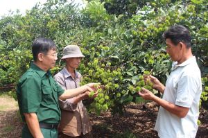 Vùng đất Sông Nhạn chuyển mình