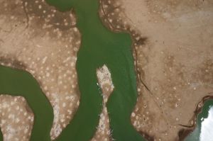 Cấp bách đảm bảo nguồn nước cho vùng hạ du thủy điện Trị An