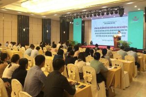 Đào tạo, bồi dưỡng kiến thức về thuyết minh, giới thiệu di sản năm 2023