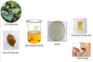 Một giảng viên của Đồng Nai đoạt Giải thưởng Sáng tạo KH-CN Việt Nam năm 2022