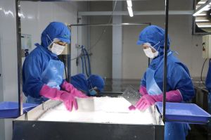 Businesses developed together with locality