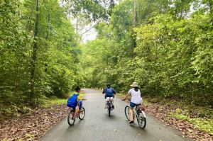 Focus on promoting key tourism projects