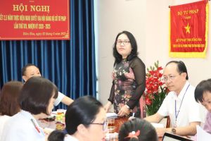 Thanh tra chuyên ngành trong lĩnh vực luật sư tại Đồng Nai