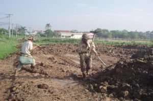 Cẩn trọng khi  thu mua, tìm kiếm phế liệu