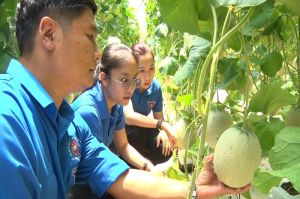 Following your start-up dream