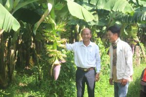 Tăng mức lương cơ sở cho người hoạt động không chuyên trách cấp xã, ấp