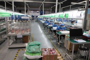 Dong Nai’s companies on their ways to integrate and develop