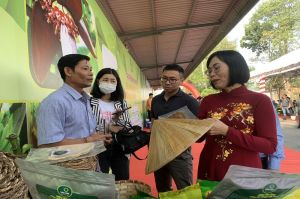 Hỗ trợ xây dựng chuỗi liên kết các hợp tác xã