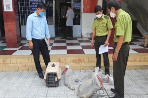 Tăng cường công tác vận động người dân giao nộp động vật hoang dã