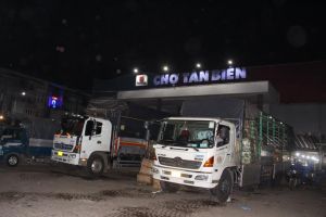 Doanh thu vận tải hàng hóa ước đạt hơn 7 ngàn tỷ đồng