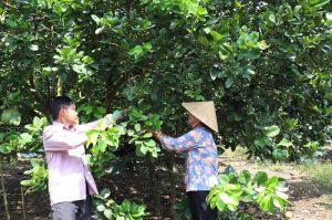 Tinh thần tự lực, không ngại khó, nỗ lực, vươn lên thoát nghèo của gia đình 01 cán bộ ấp