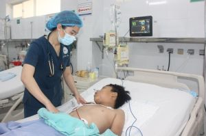 Ăn nấm mọc trên xác ve sầu, 2 mẹ con bị ngộ độc