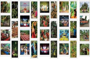 80 hình ảnh trưng bày tại triển lãm Long Khánh mùa trái chín