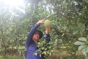 Truyền thông quảng bá hình ảnh Đồng Nai ra nước ngoài theo cách làm mới