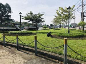 “Xanh hóa" những bãi rác từng gây ô nhiễm