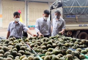 Phát triển hạ tầng thương mại dịch vụ phải phù hợp với địa phương