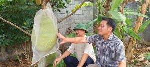 Vùng đất 18 Gia Đình hôm nay