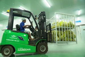 12 tác giả đoạt giải Cuộc thi ảnh Ngày hội vào mùa Long Khánh
