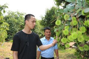 Nâng đỡ người lao động tự do