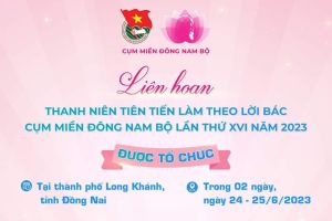 Đồng Nai đăng cai liên hoan thanh niên tiên tiến làm theo lời Bác cụm miền Đông Nam bộ