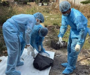 Thêm 1 người tử vong nghi do chó dại cắn