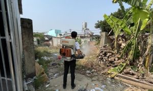 Không được chủ quan khi bị chó, mèo cắn