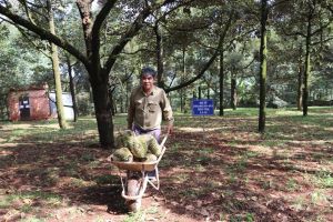 Nhiều thành tựu phát triển nông nghiệp hữu cơ