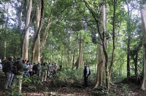 Dong Nai has the highest rate of forest cover in the Southeast region