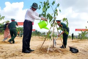 Huy động cả hệ thống chính trị tham gia trồng cây xanh nông thôn