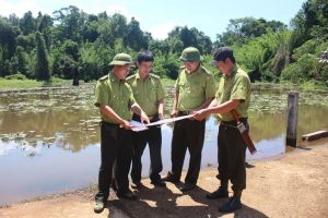 Son sắc tình yêu với rừng già