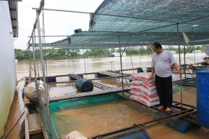 Báo động nước sông Đồng Nai dâng cao nguy cơ gây lũ