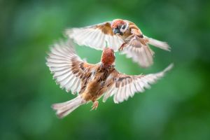 Sáng tạo và lan tỏa tác phẩm văn học nghệ thuật