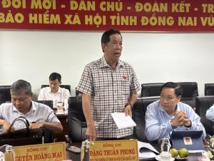 Khảo sát công tác quản lý quỹ và sử dụng quỹ BHXH, BHYT tại Đồng Nai