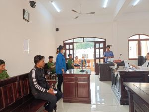 Hệ lụy từ bạo lực gia đình