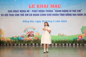 Nguyễn Võ Ngọc Giàu: Tấm gương sáng của đội viên, thiếu nhi