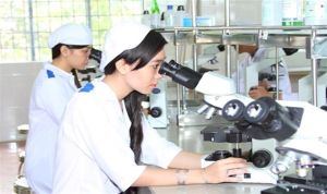 Thực hiện bình đẳng giới để xã hội phát triển, gia đình hạnh phúc