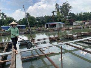 Phòng chống thiên tai trong mùa mưa lũ