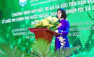 100の外国非政府組織、FDI企業、外国協会が会合と感謝のプログラムに出席
