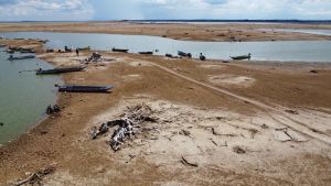 Dong Nai proposed to research means to dredge Tri An lakebed