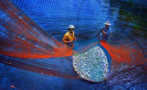 Đưa hình ảnh Đông Nam bộ đến công chúng