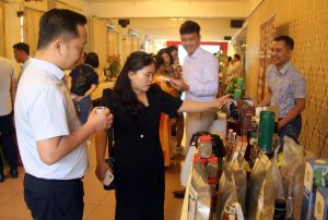 Sôi nổi các hoạt động kết nối giao thương liên vùng