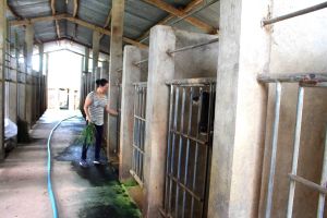 Chú trọng xây dựng sản phẩm du lịch mang tính đặc thù địa phương