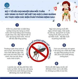 Chủ tịch UBND tỉnh chỉ đạo về phòng, chống dịch bệnh do muỗi truyền