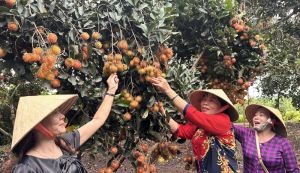 4 địa phương được khảo sát xây dựng mô hình du lịch cộng đồng gắn với các tiêu chí OCOP